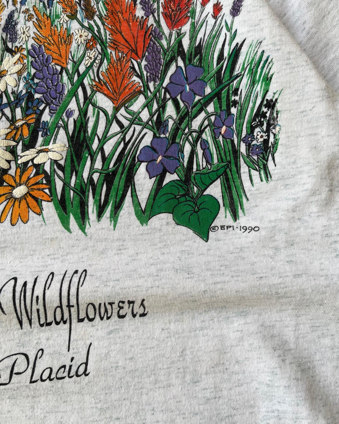 1990s - Ash Grey Lake Placid T-Shirt - M