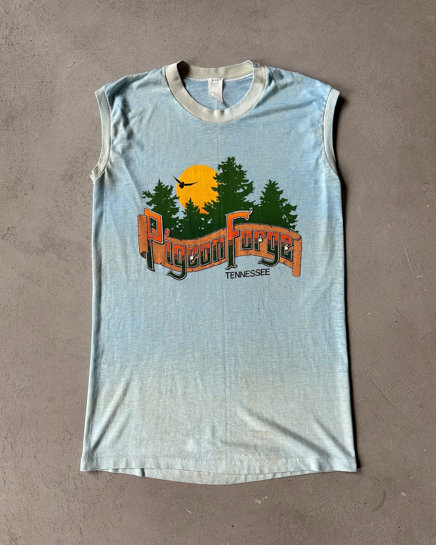 1980s - Distressed Blue Pigeon Forge Tank Top - M