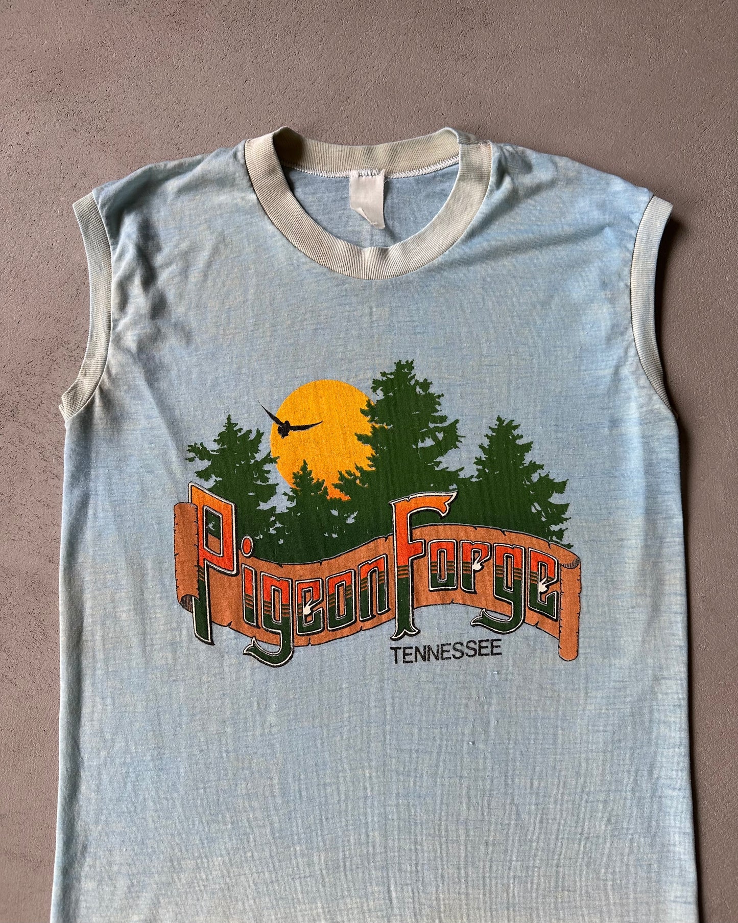 1980s - Distressed Blue Pigeon Forge Tank Top - M