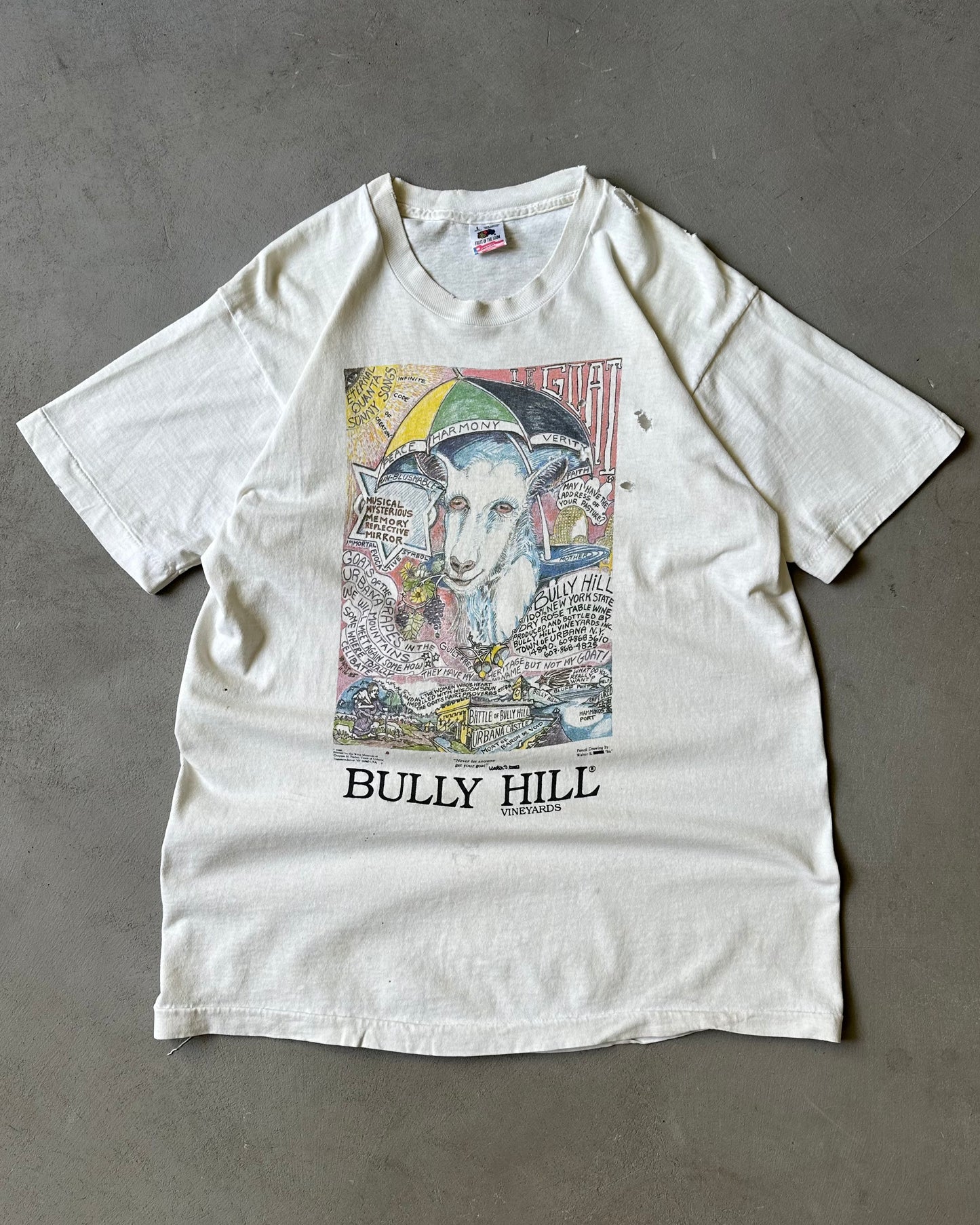 1990s - Distressed Bully Hill T-Shirt - M/L